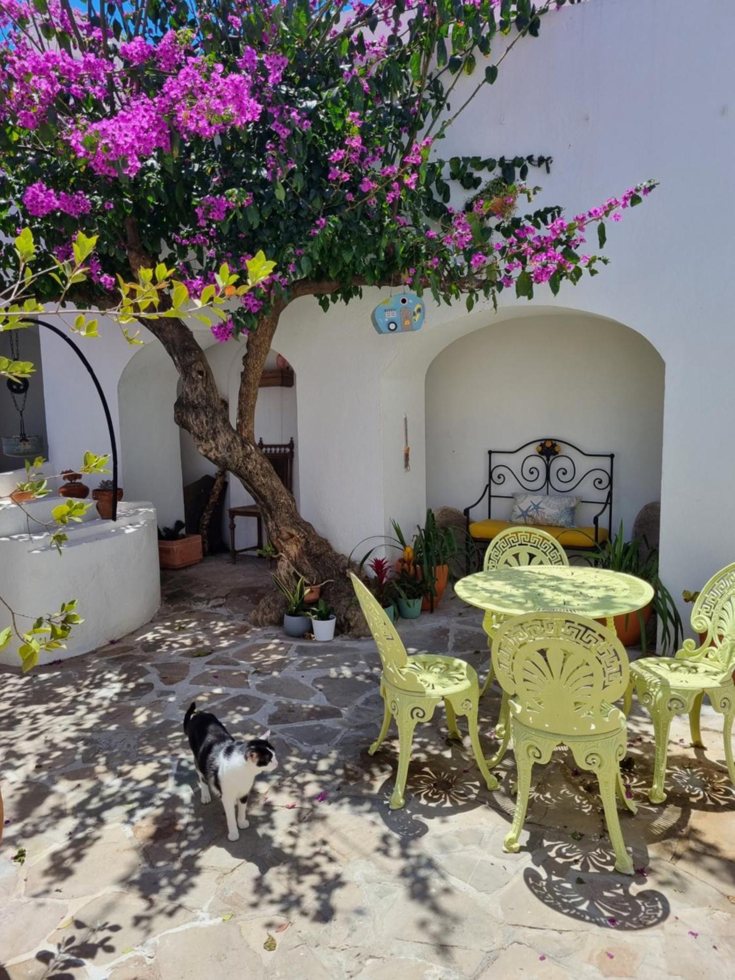 Castle House And Beach سينيس المظهر الخارجي الصورة